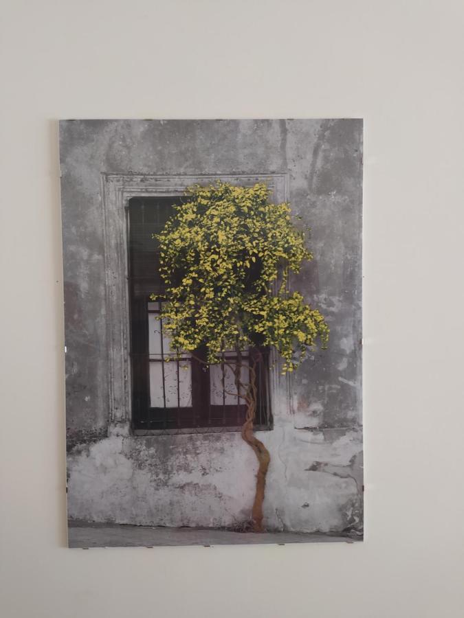 Διαμέρισμα Στην Πόλη Metamorfosi Buitenkant foto